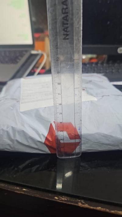 Women's Nontransparent Fabric Classic-Stylish Pant Pink